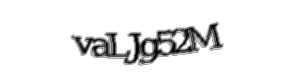 Security check image, please type the characters shown